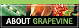 About Grapevine